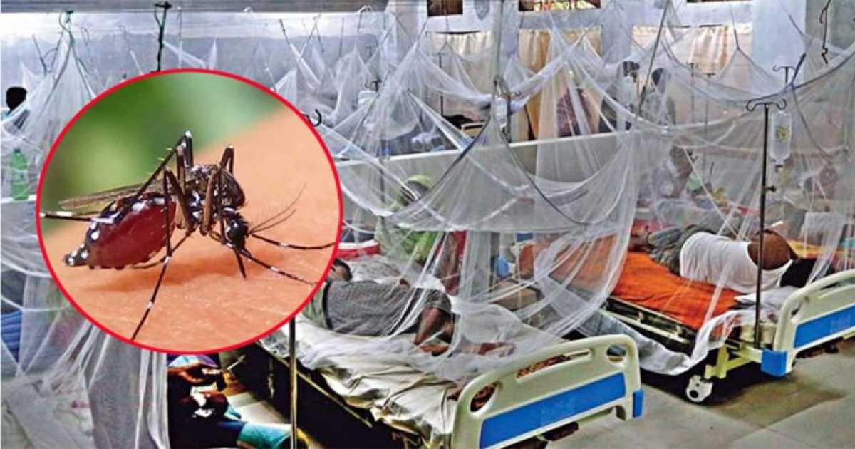ডেঙ্গুতে হাসপাতালে ভর্তি বেড়ে ৪৫ হাজার ছাড়ালো, সেপ্টেম্বরে সর্বাধিক মৃত্যু