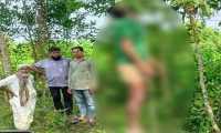 ছবি