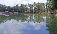 ছবি