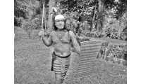 ছবি