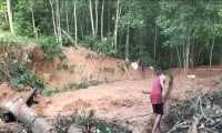 ছবি
