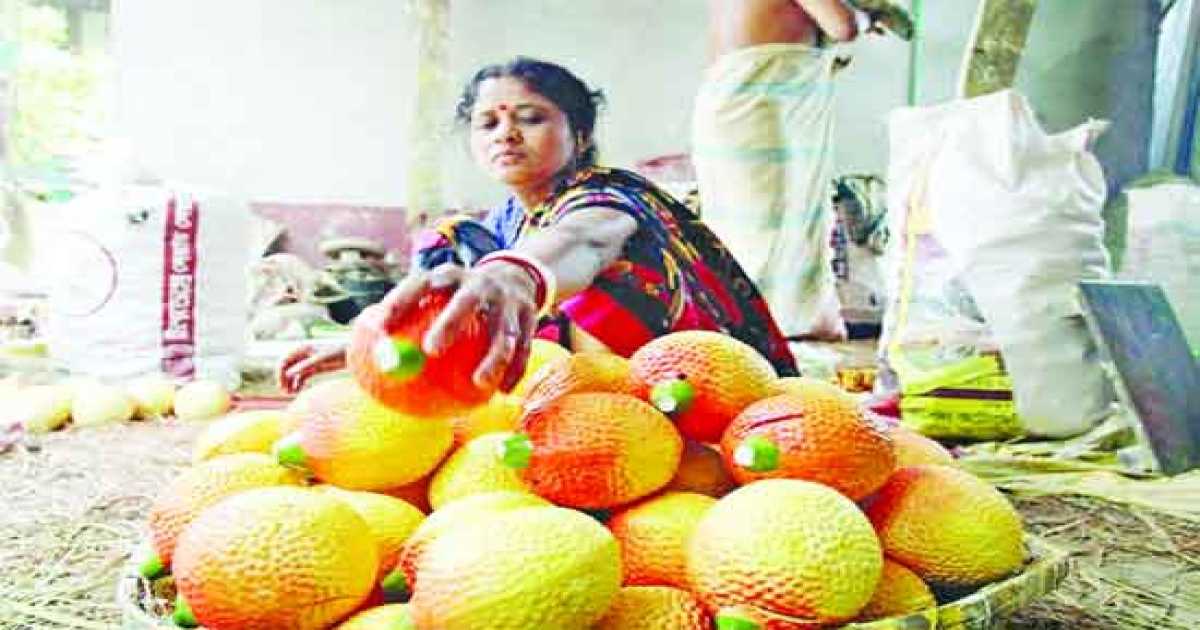 শার্শার কুমারপাড়া: ‘প্রতিবছর এই সময়টার জন্য আমরা অপেক্ষায় থাকি’