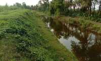 ছবি
