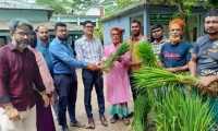 ছবি